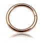 Mobile Preview: Rose Gold Steel Segment Ring Clicker