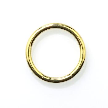Titan Segmentring goldfarben