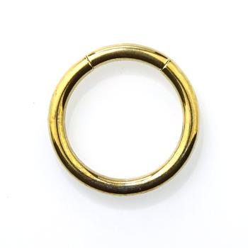 Titan Segmentring goldfarben