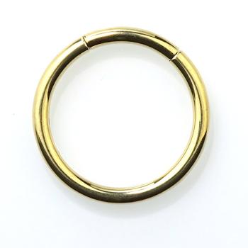 Titan Segmentring goldfarben