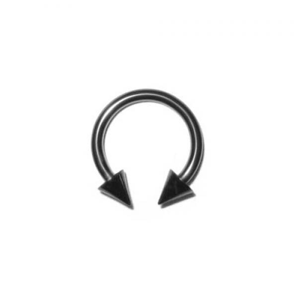 Titan Black Circular Barbell mit Schraubkegel