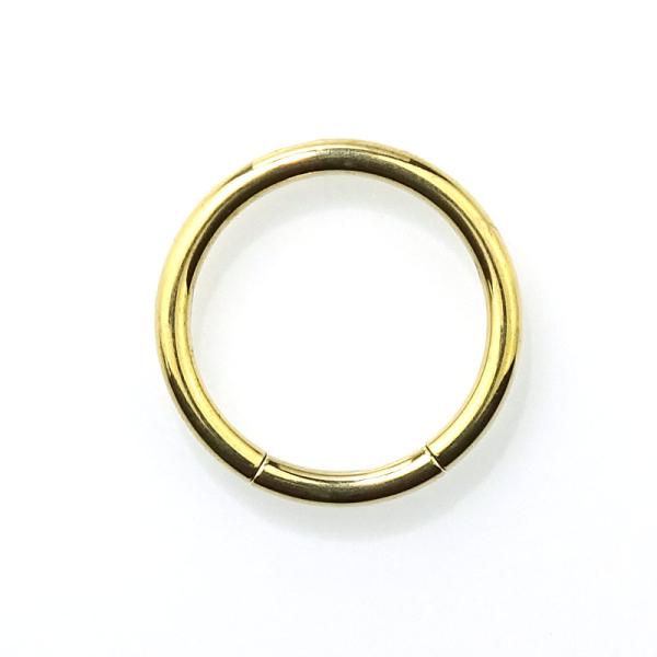 Titan Segmentring goldfarben
