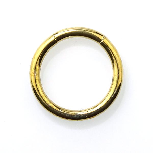 Titan Segmentring goldfarben