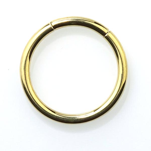Titan Segmentring goldfarben