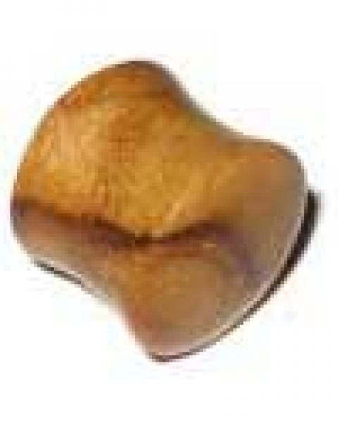 Organic Plug - Teak Holz