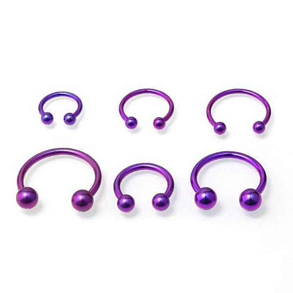 Circular Barbell Violett