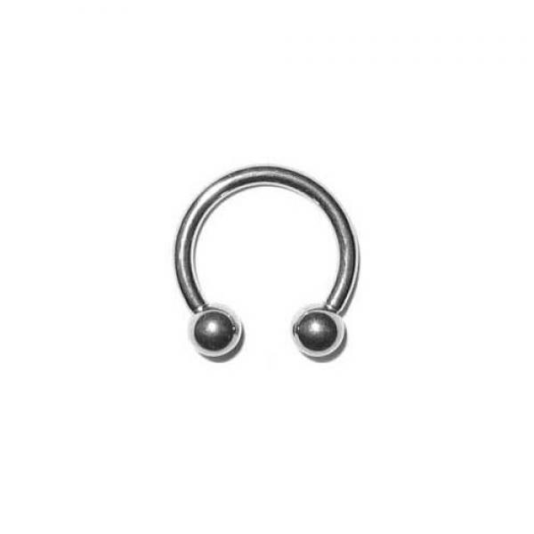 Titan Circular Barbell (TG) - Piercing Rundhantel